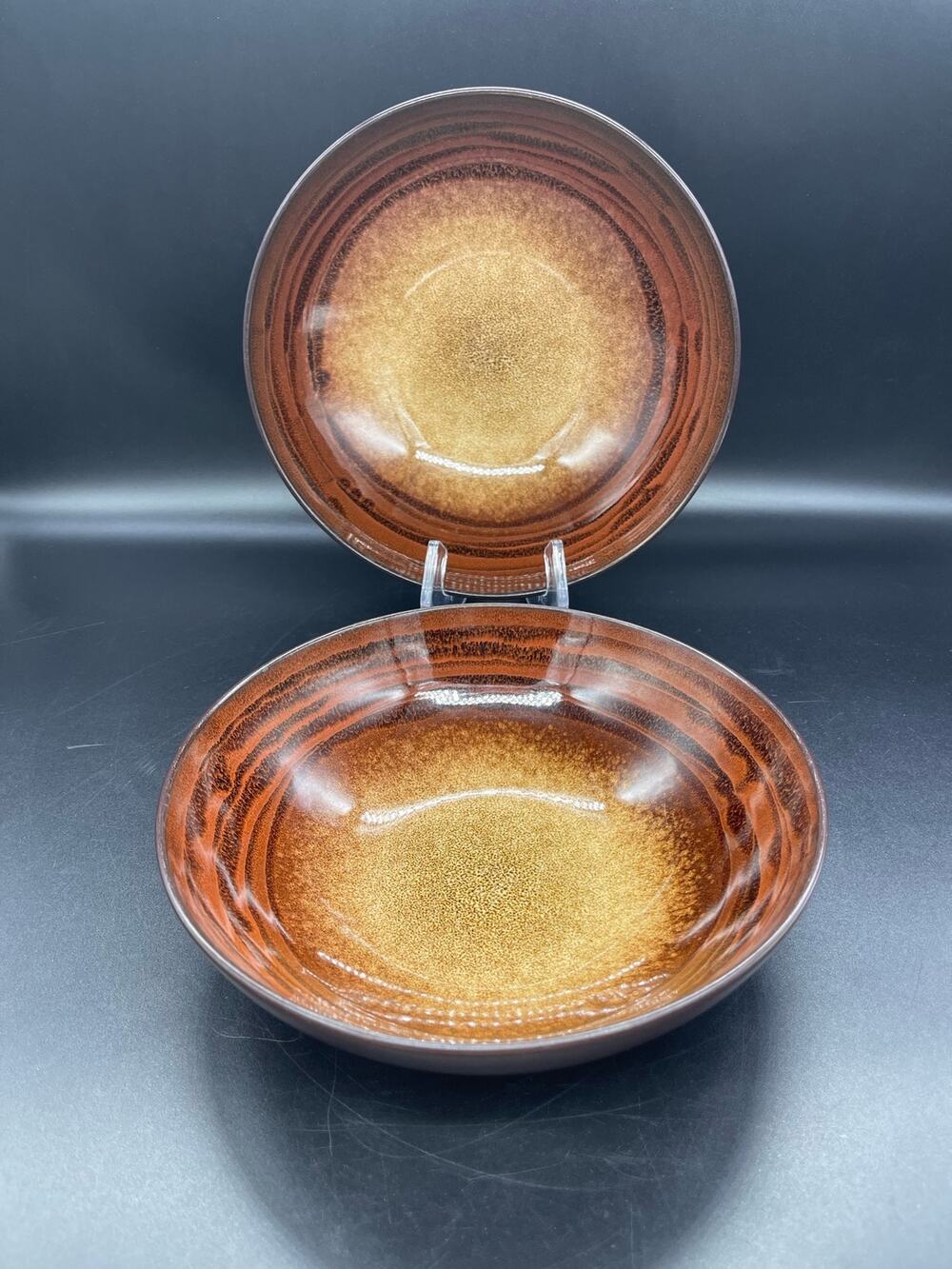 Roscher Oak Hill Stoneware Set of 2 Soup Bowls 7.75"